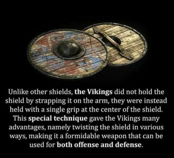 Vikingasköld